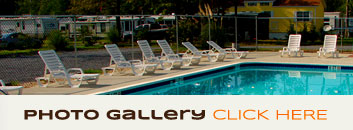 Click here to view photo gallery